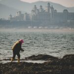 삼성SDI 주가 전망을 알아보자