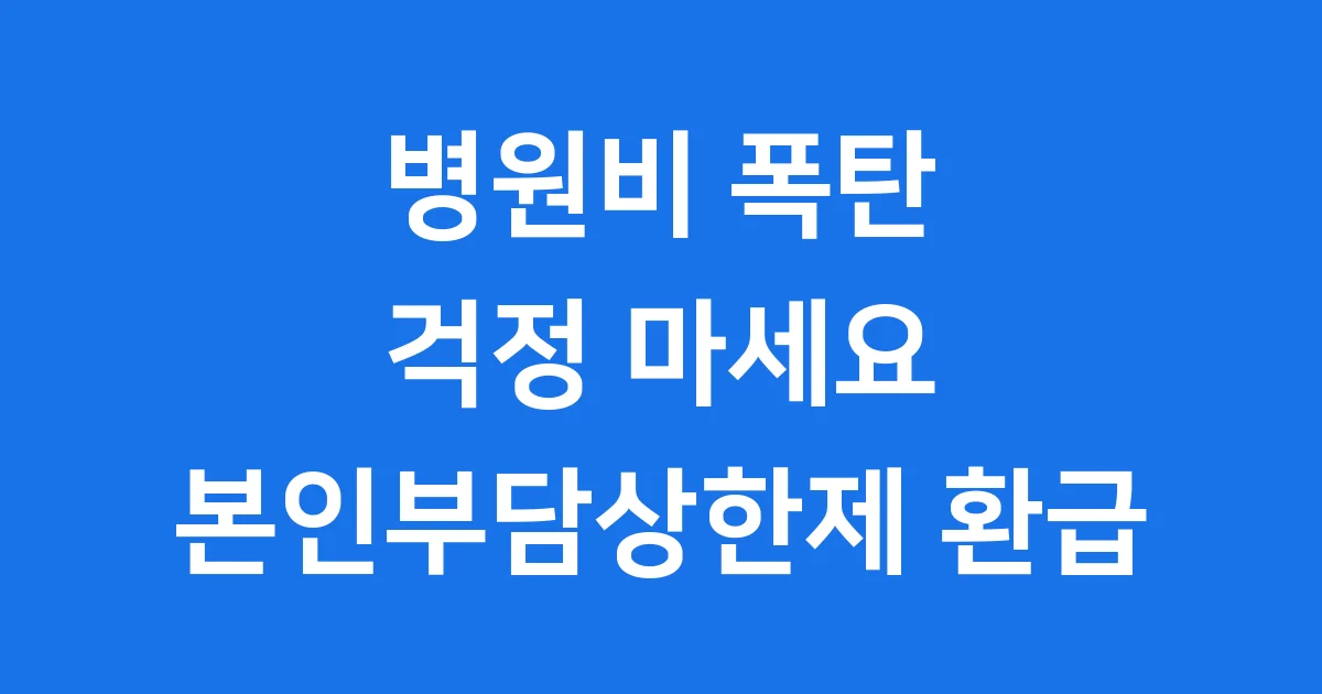 본인부담상한제 환급 신청방법 2024년 지급대상 본인부담상한제 환급 신청방법 2024년 지급대상