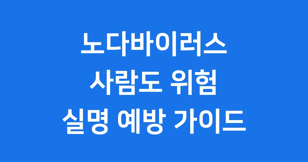 노다바이러스 사람 감염 증상 예방 수칙 2026