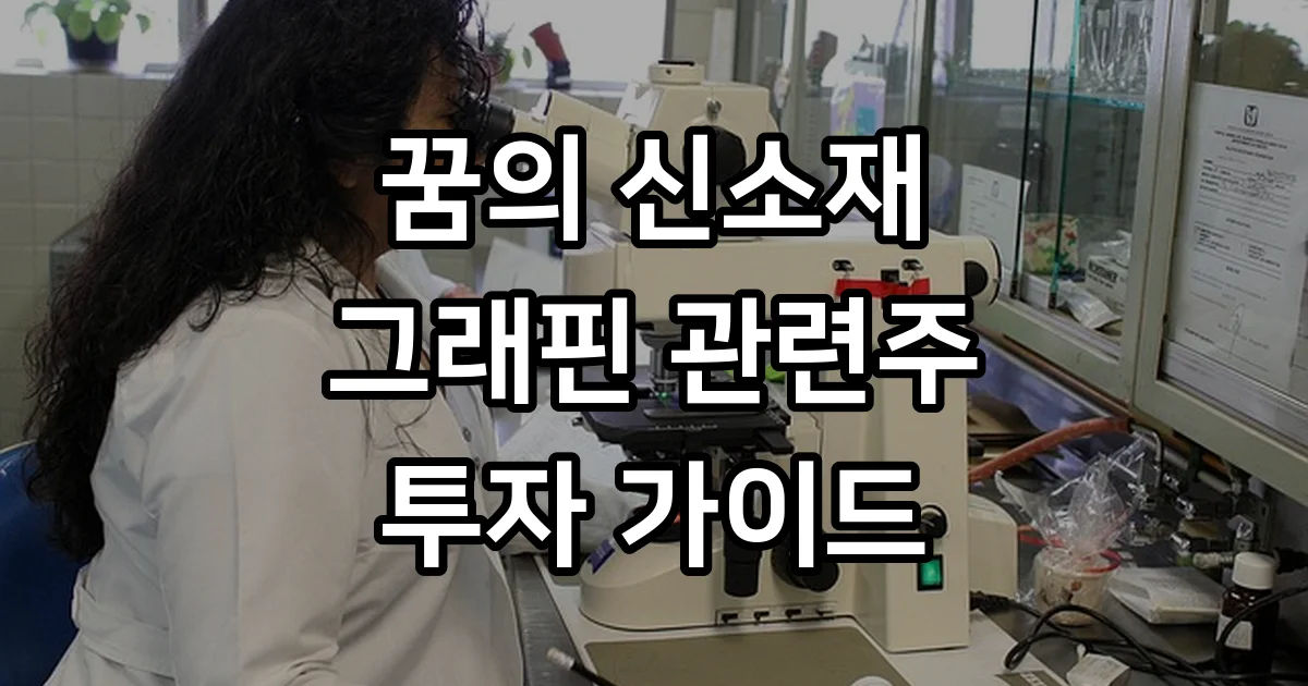 그래핀 관련주 2026년 핵심 기업 분석