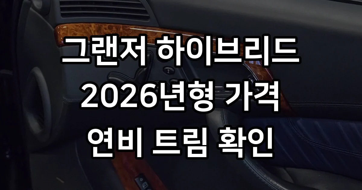 그랜저 하이브리드 2026 가격 연비 트림 정보